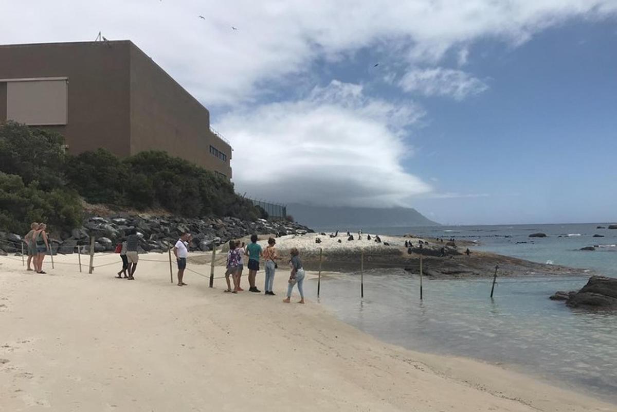 eine Gruppe von Menschen, die am Strand spazieren gehen