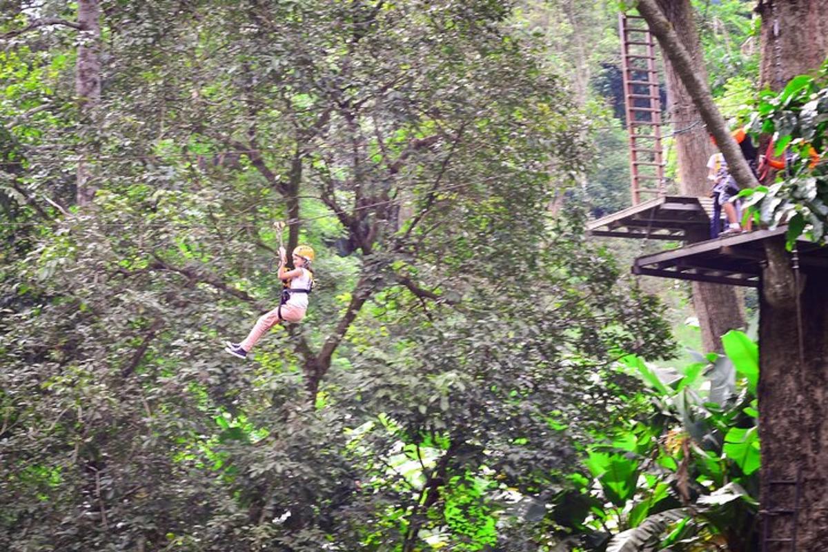 una mujer colgada de un árbol en el bosque