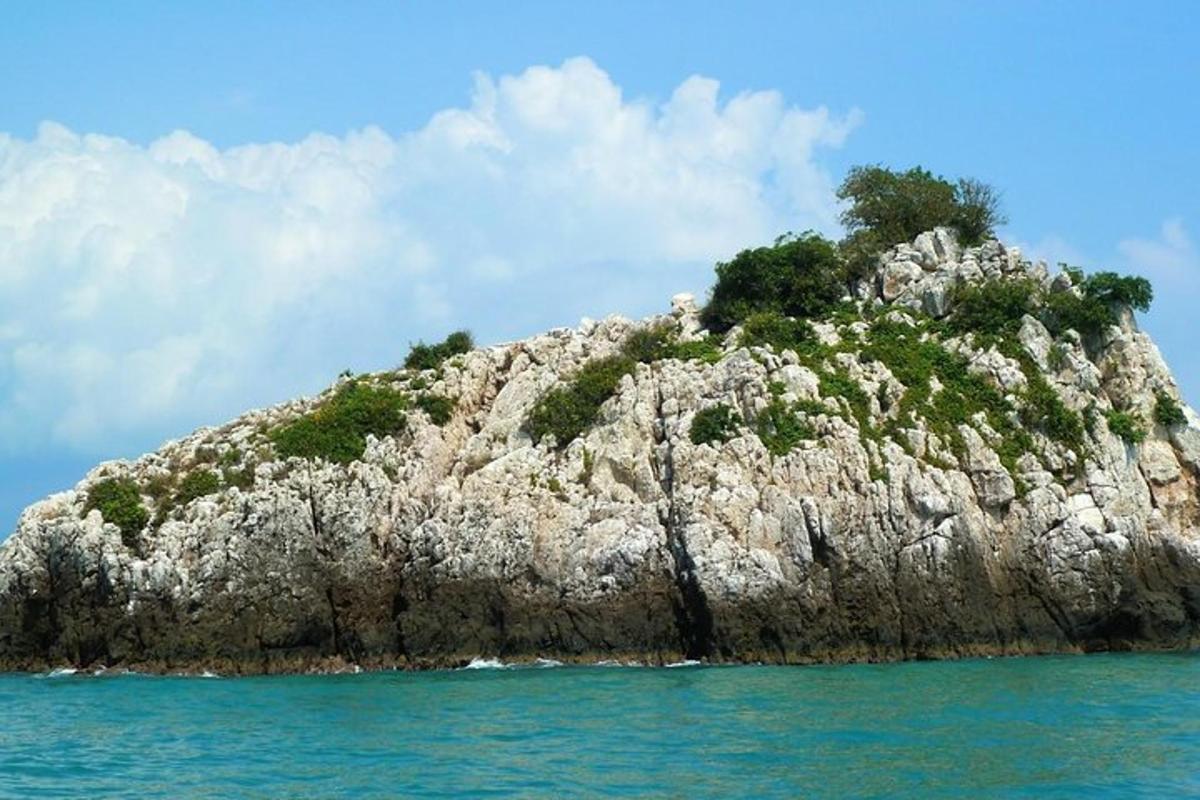 sebuah pulau di air dengan pepohonan di atasnya