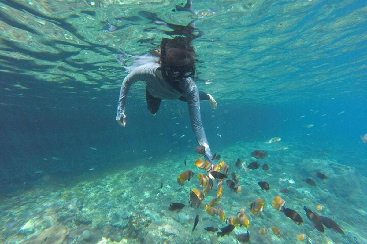 una dona neda a l'aigua amb peixos