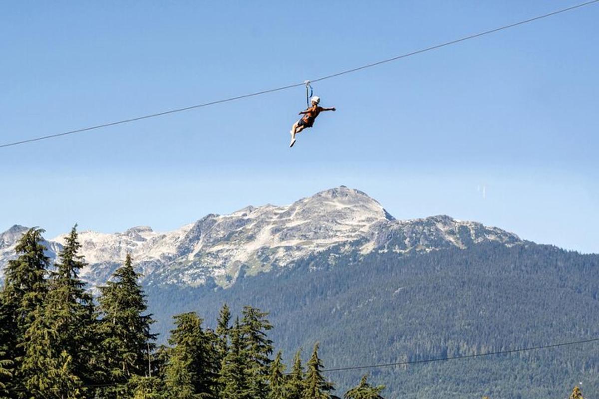 一个人在高山滑索上