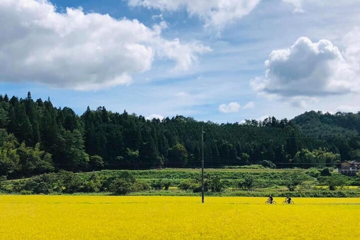 two people riding motorcycles in a field of yellow flowers