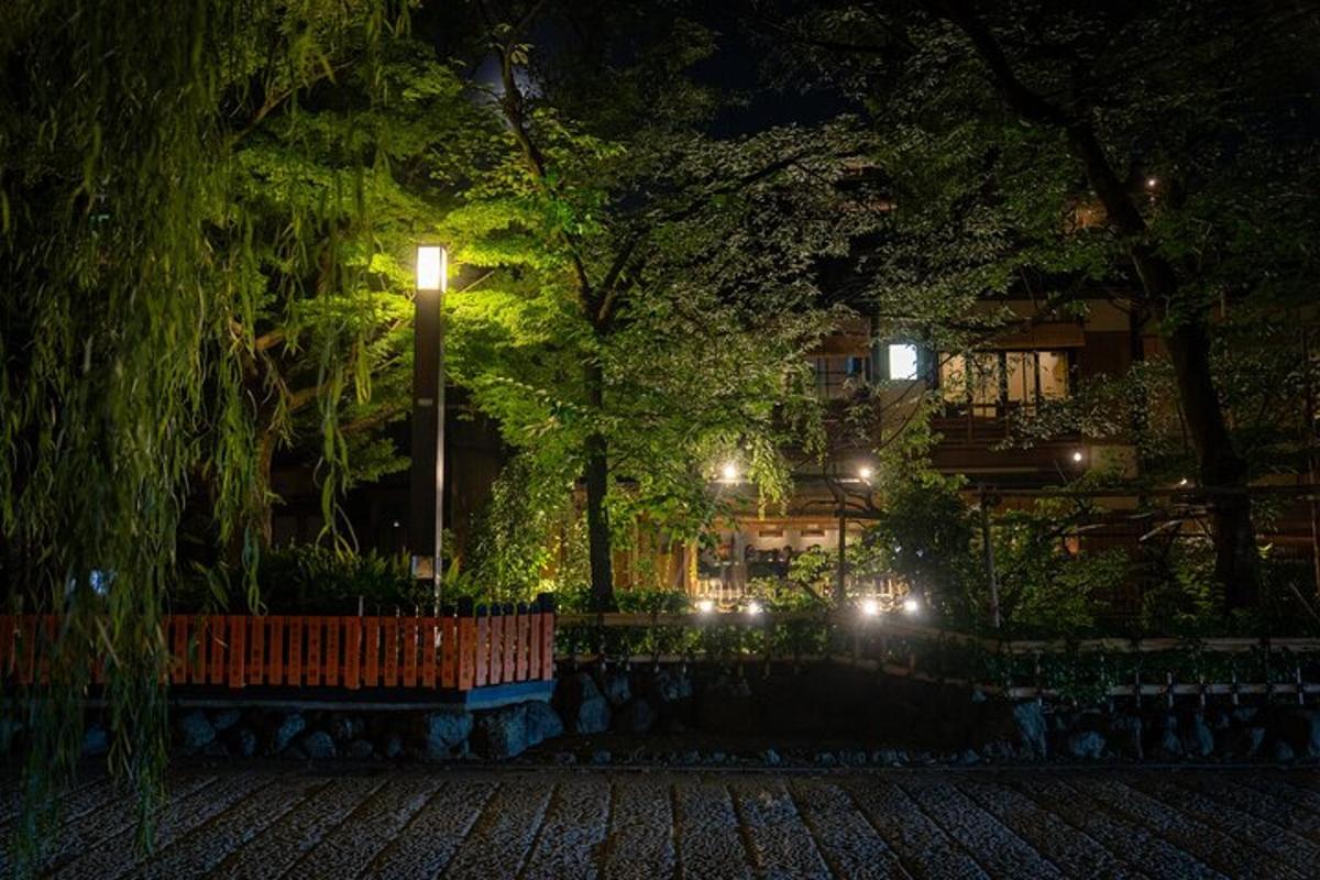 en park om natten med gadelygter og træer