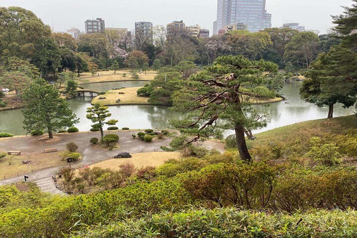 egy park tóval, fákkal és épületekkel