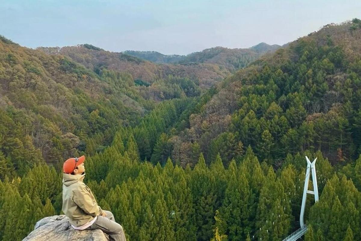 seseorang duduk di atas batu sambil memandangi hutan