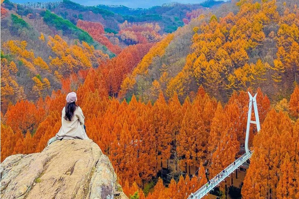 una donna seduta in cima a una roccia che domina una foresta