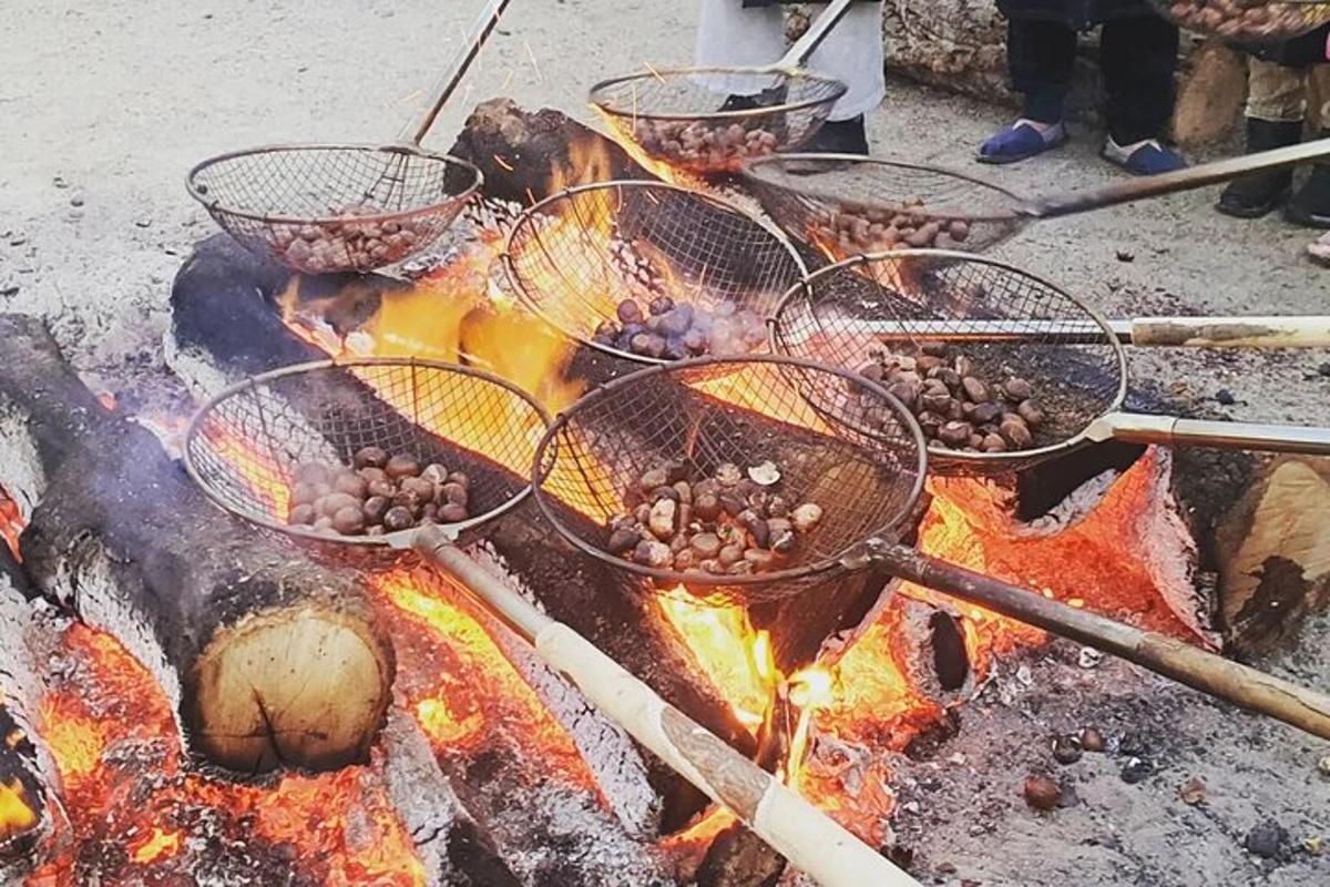 sekelompok keranjang di atas api dengan makanan