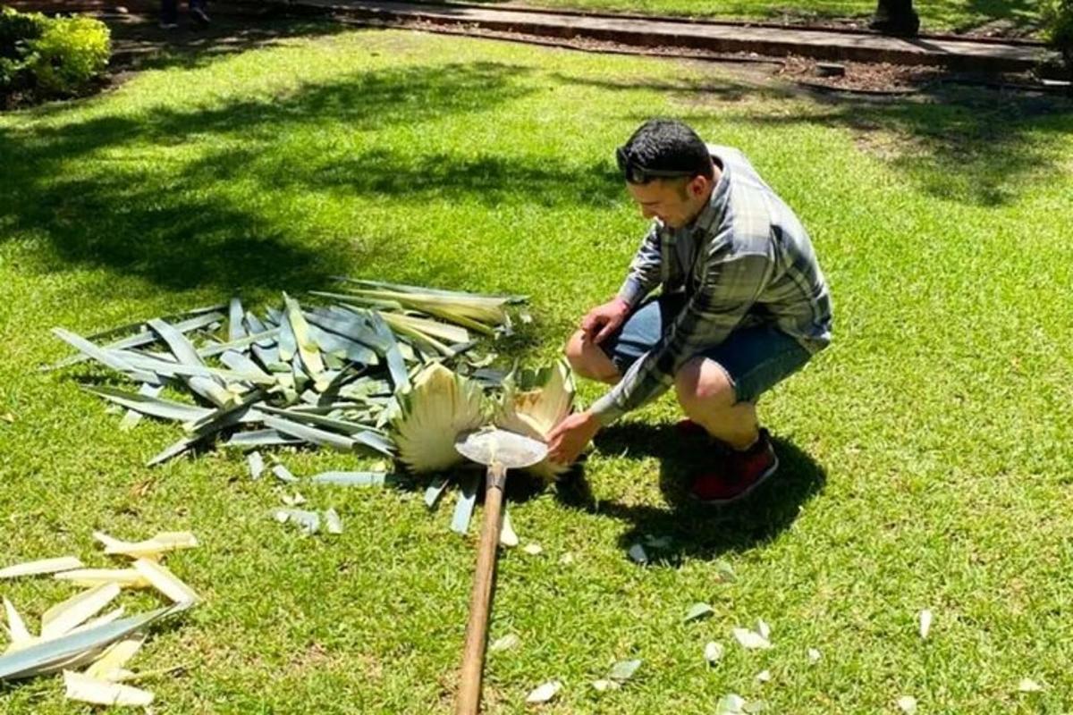 một chàng trai trẻ đang làm việc trên một cây trong sân