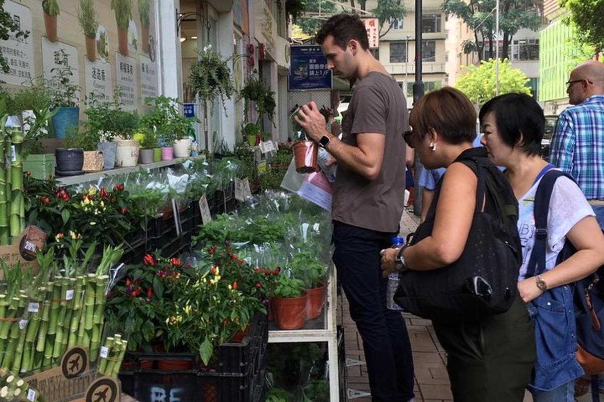 a group of people looking at plants in a store