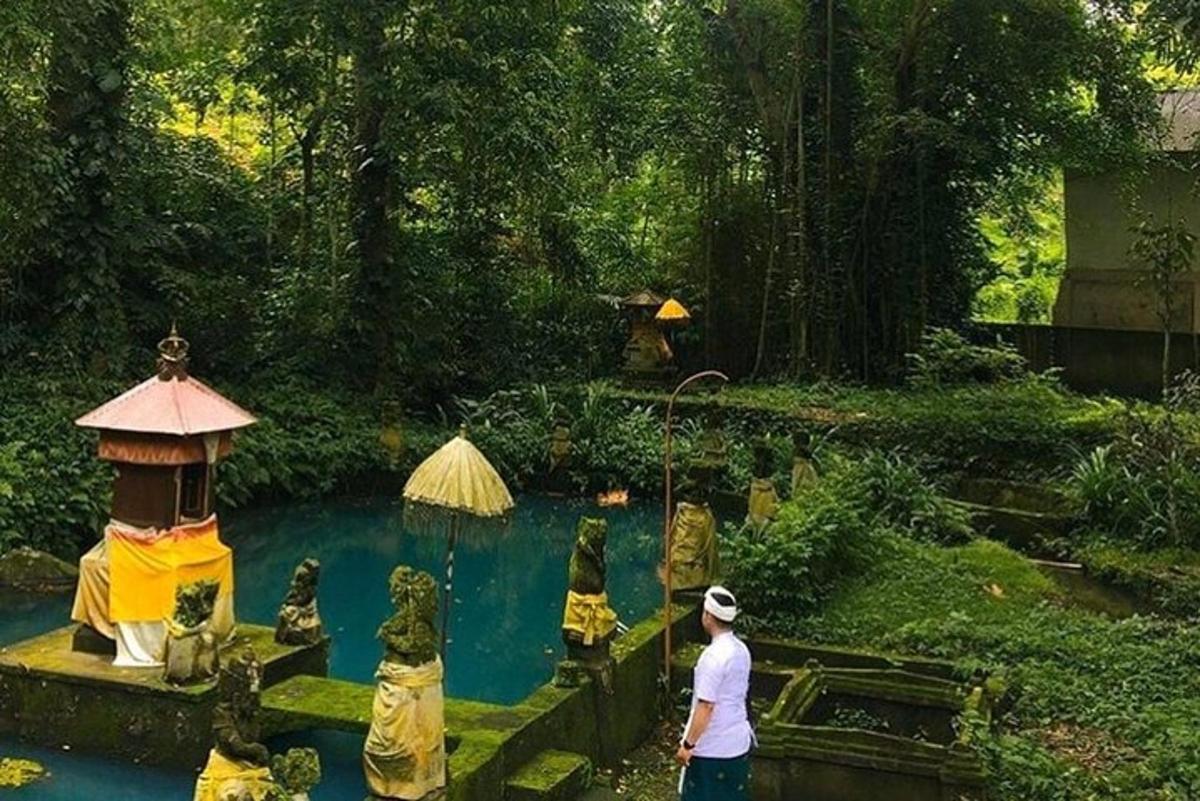 Ein Mann steht vor einem Teich in einem Garten