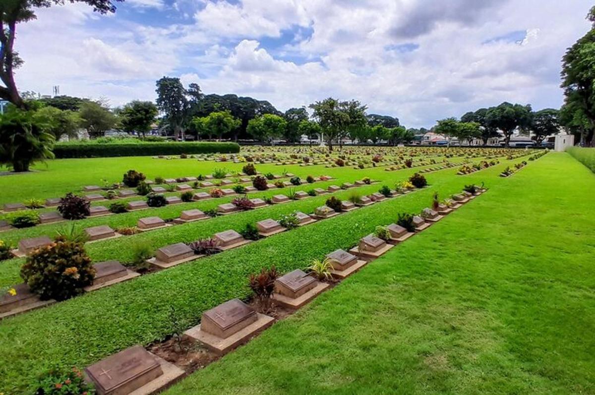 un jardí amb cadires i plantes en un camp