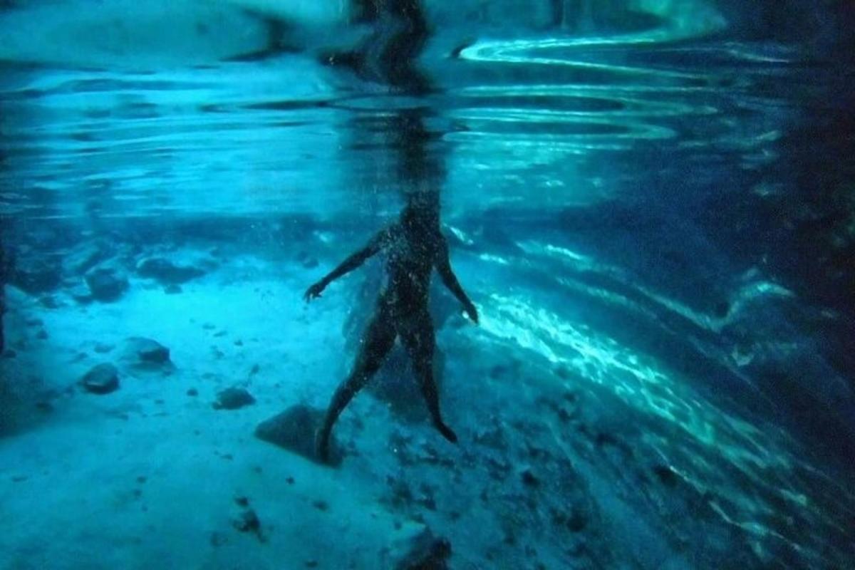 海で泳いでいる人