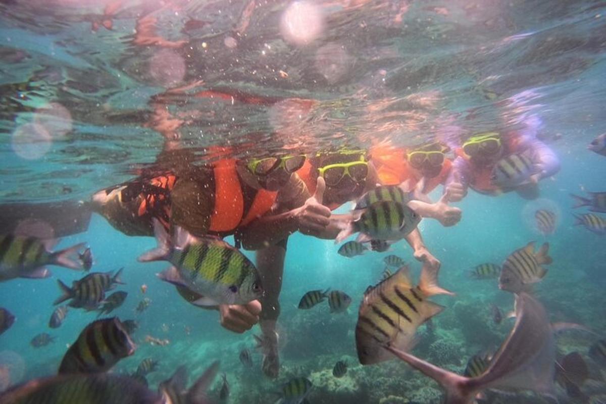 a group of people swimming in the water with fish