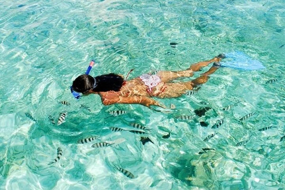uma pessoa nadando na água com peixes