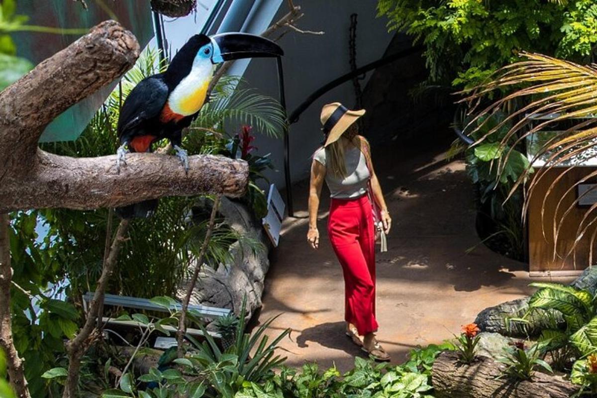 eine Frau, die mit einem Vogel auf einem Ast durch einen Garten geht