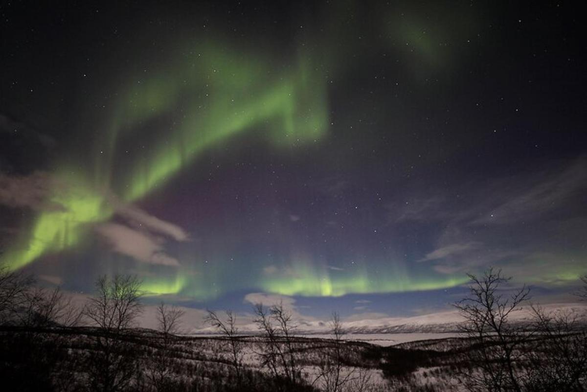 Ljósmynd af afþreyingu 6