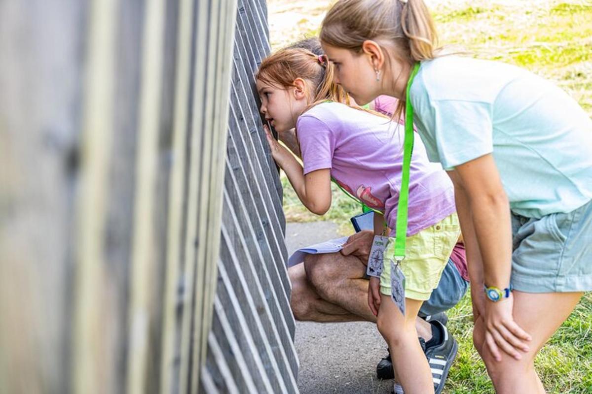 muž a dvě dívky se dívají na zeď