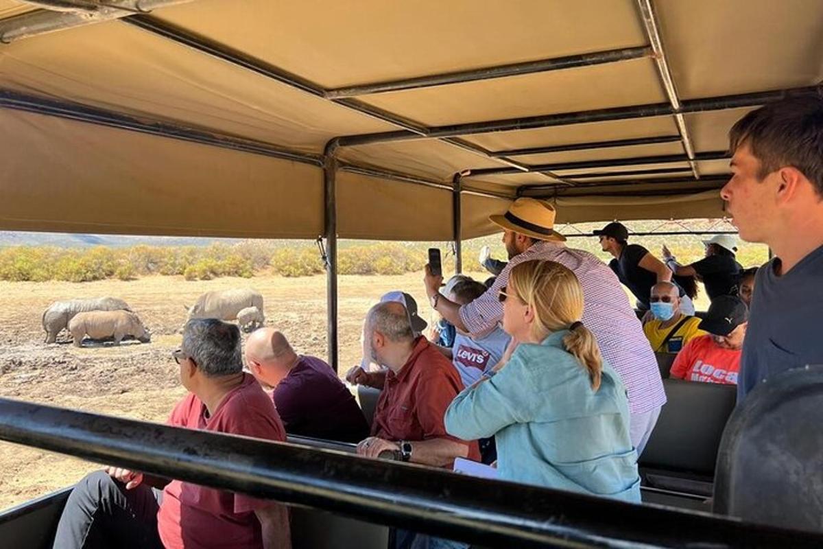skupina ľudí sediacich v autobuse a pozorujúcich slony