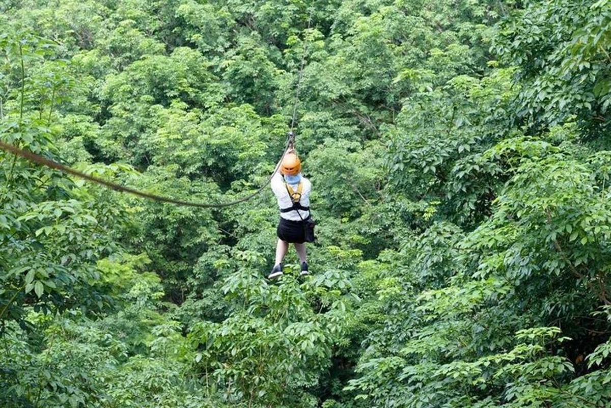 una persona su una teleferica tra gli alberi