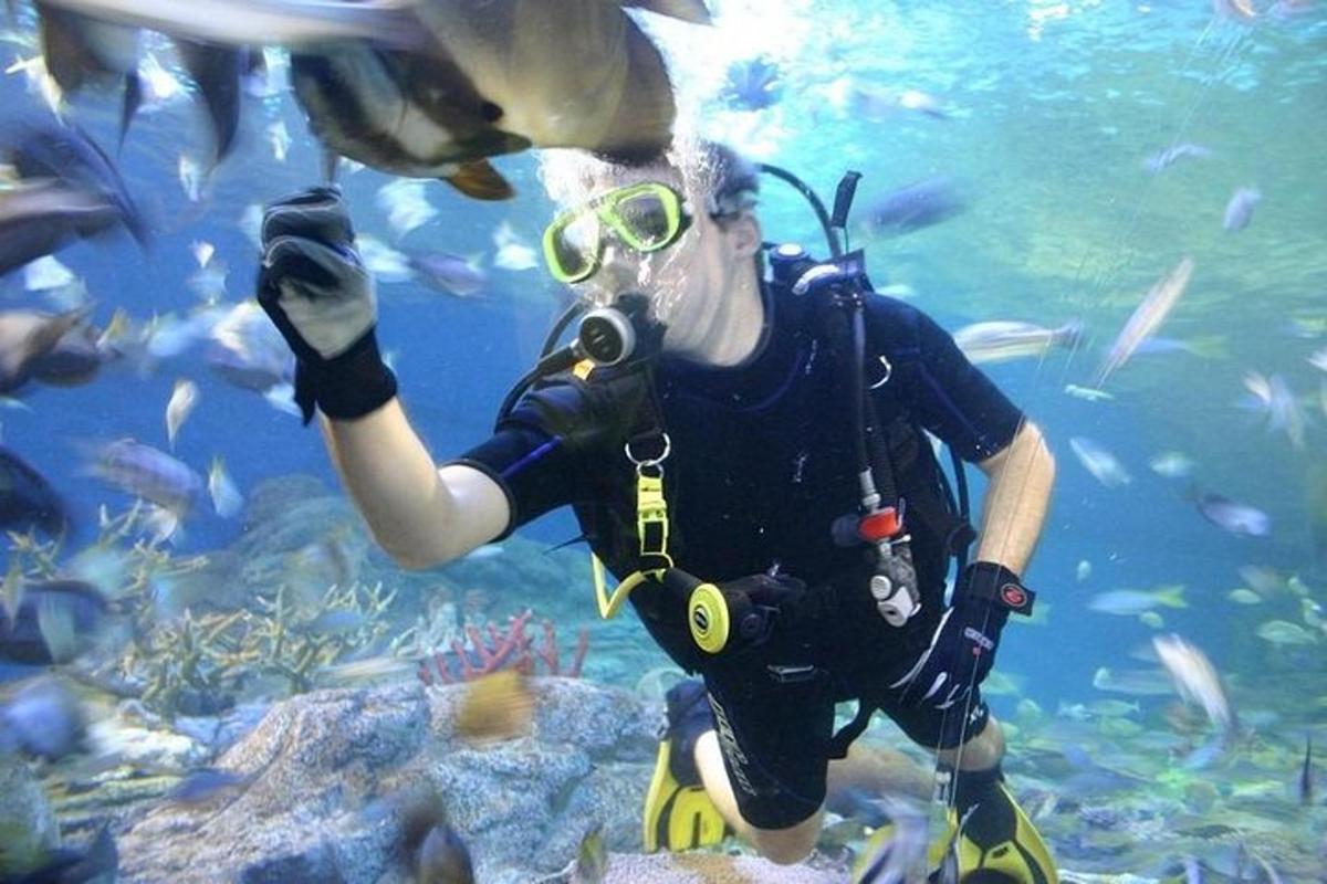 Attraction picture 1