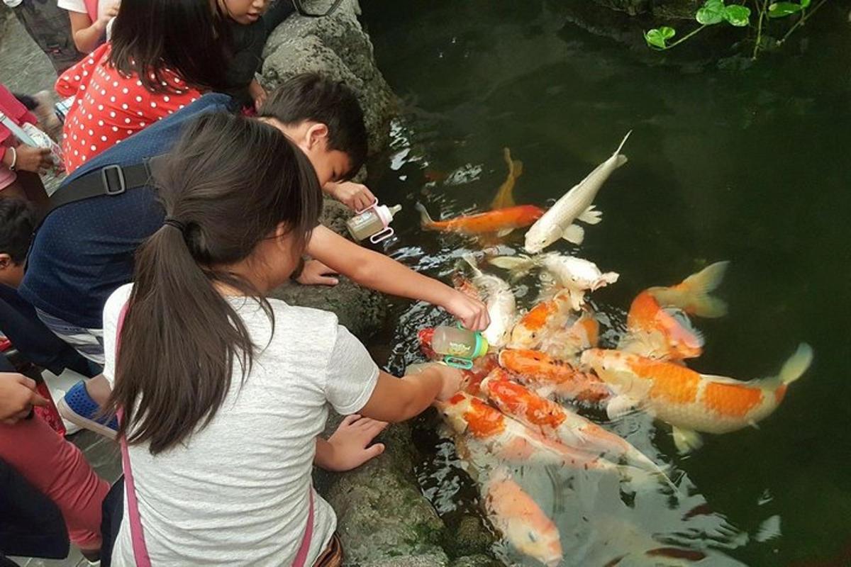Attraction picture 2