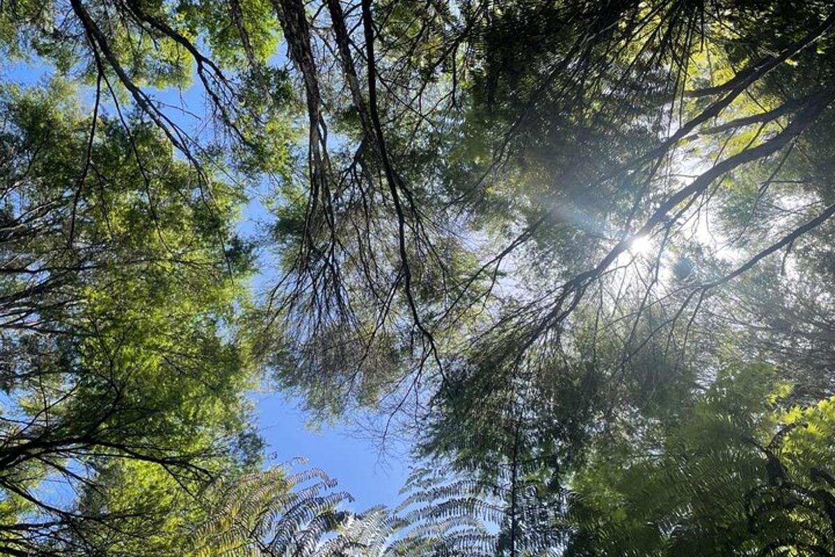 Fotografia da atração 3