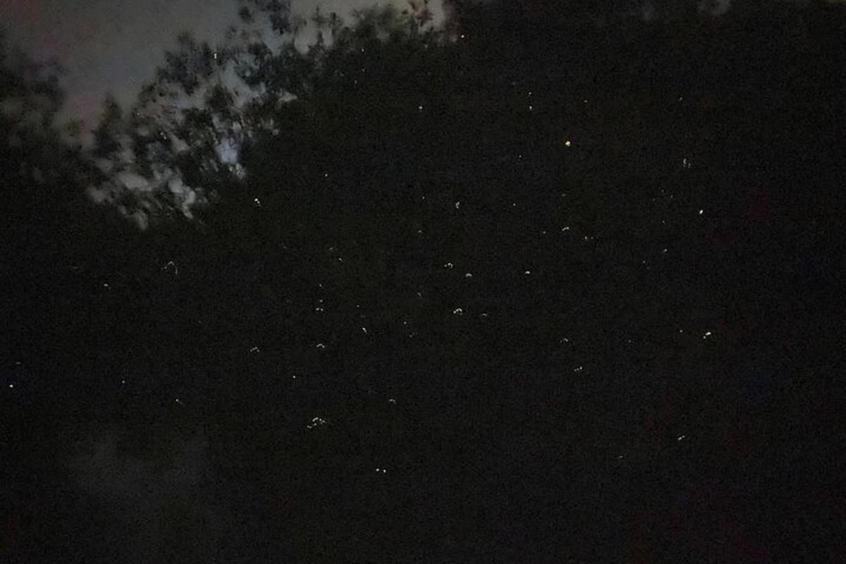 a night sky filled with lots of stars