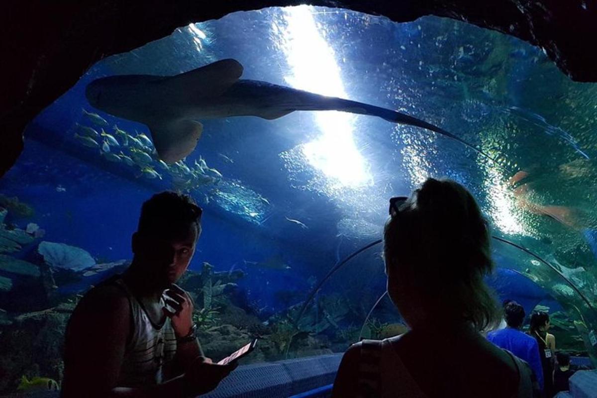 Attraction picture 4
