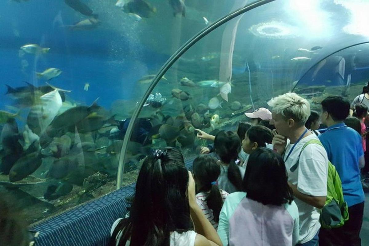 a group of people looking at fish in an aquarium