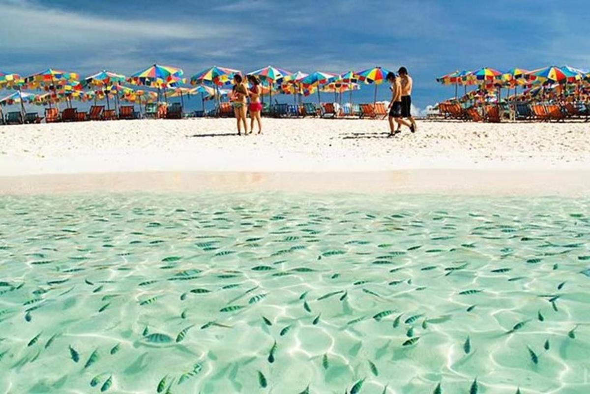 eine Gruppe von Menschen, die mit Sonnenschirmen am Strand spazieren gehen