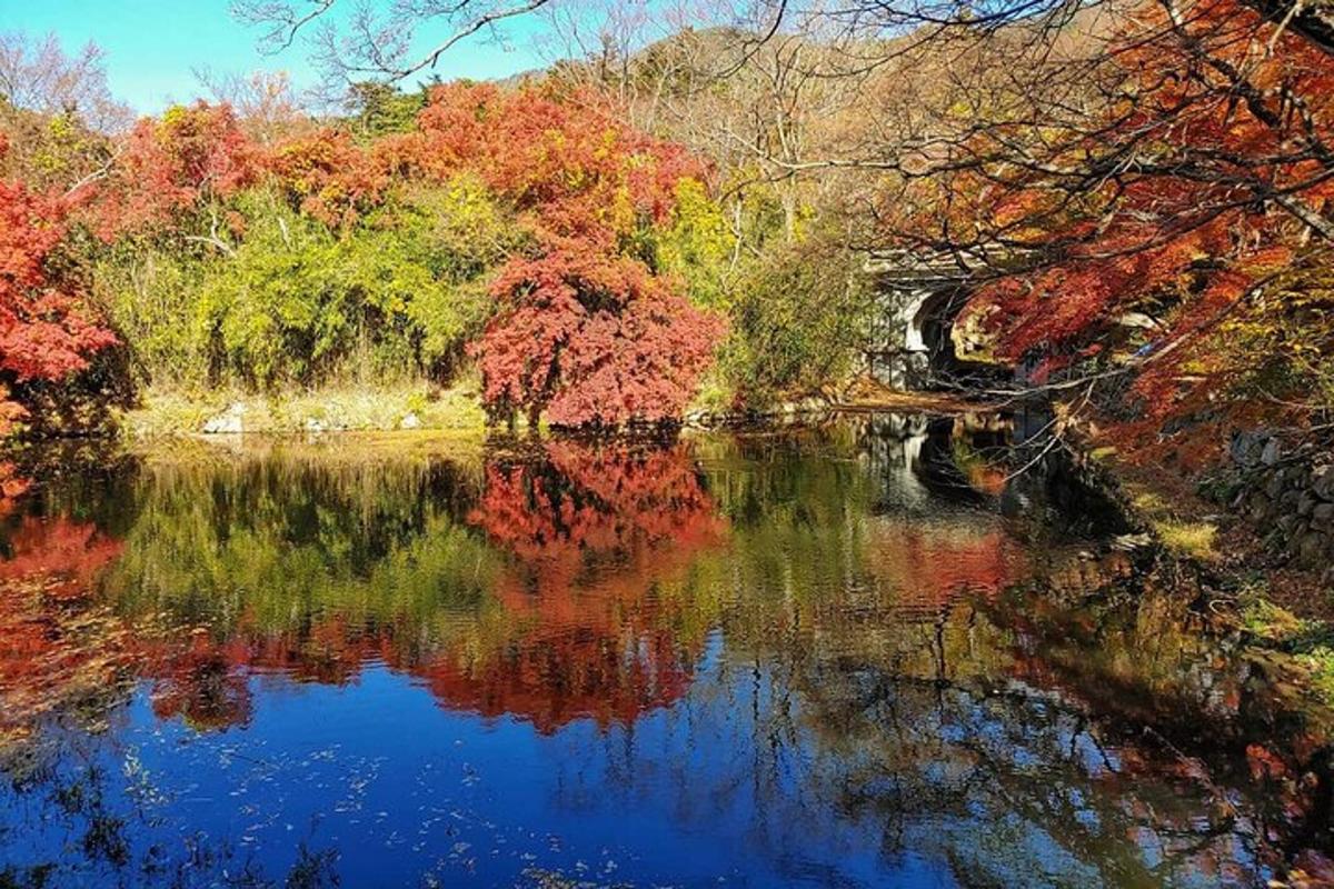 una vista di un fiume con alberi e un ponte