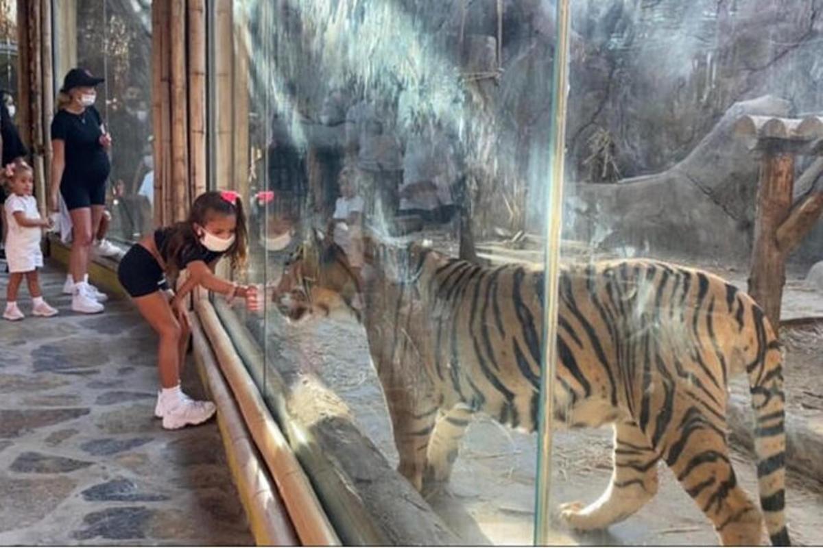 Photo de l’attraction numéro 6.