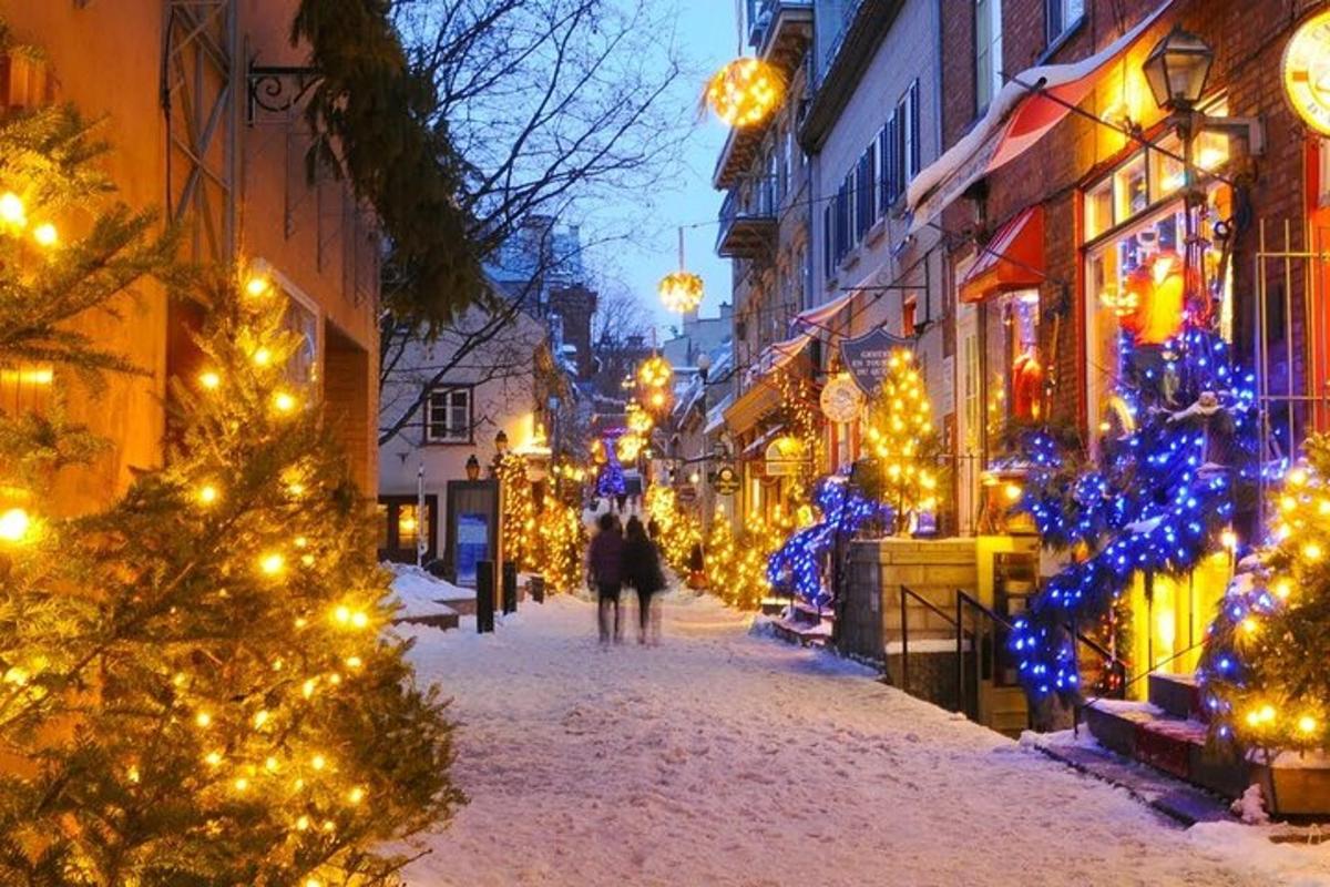 a street decorated with christmas trees and lights