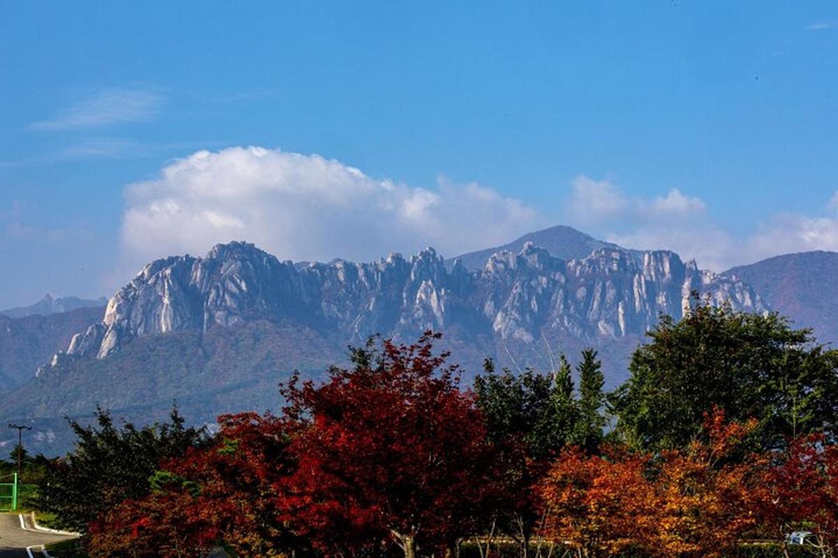 a view of a mountain range with trees and a road