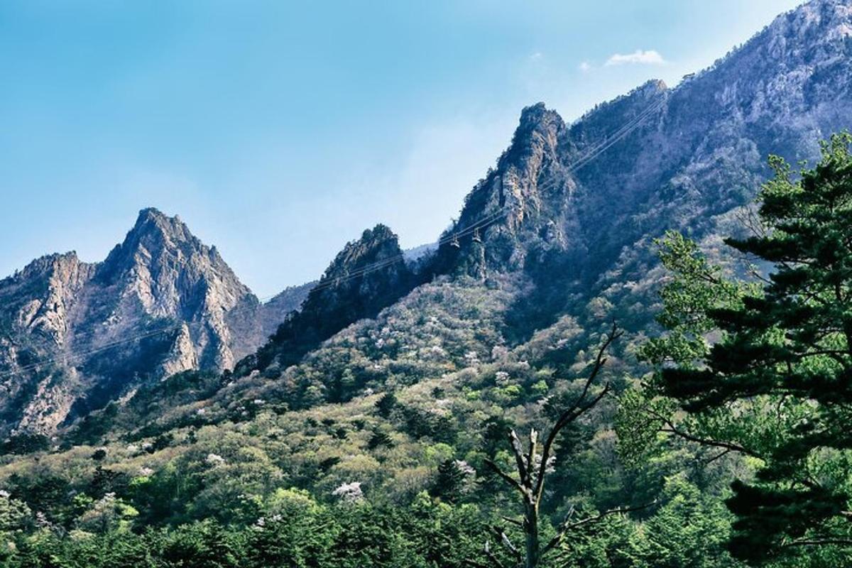 pemandangan gunung dengan pokok di latar depan