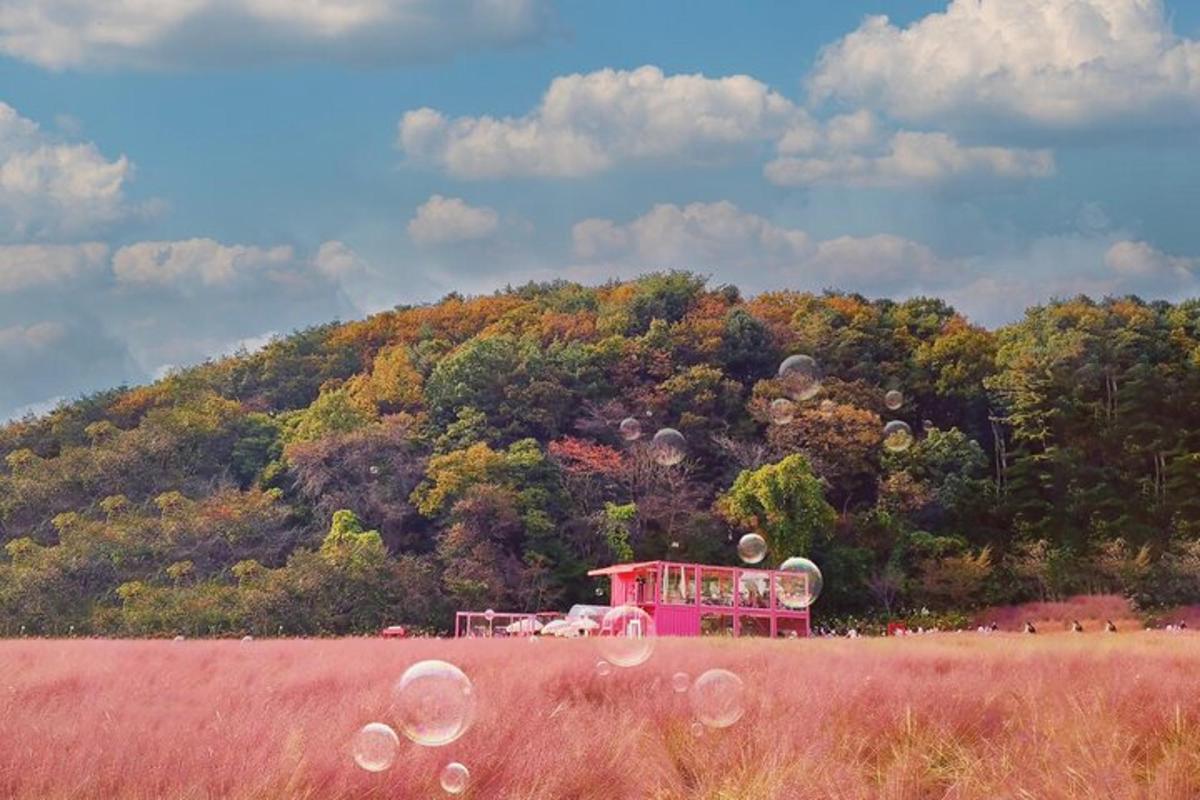 um objeto rosa em um campo em frente a uma colina