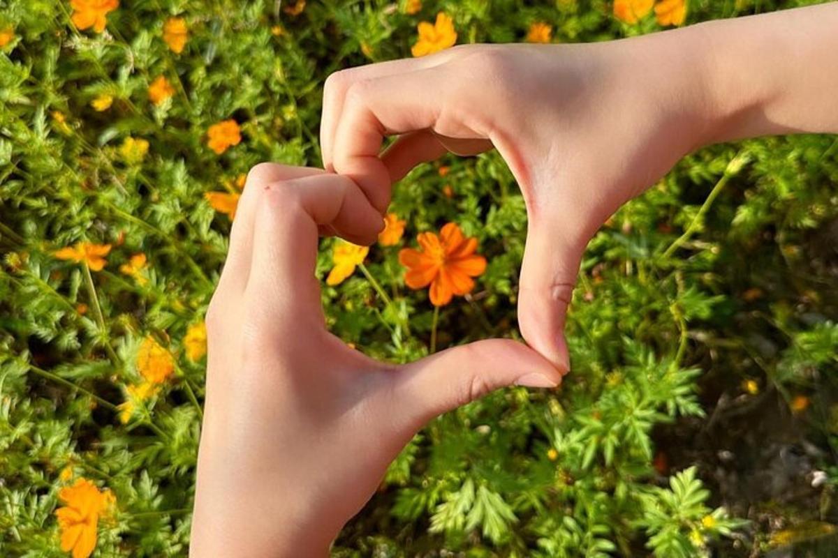 una persona che fa un cuore con le mani