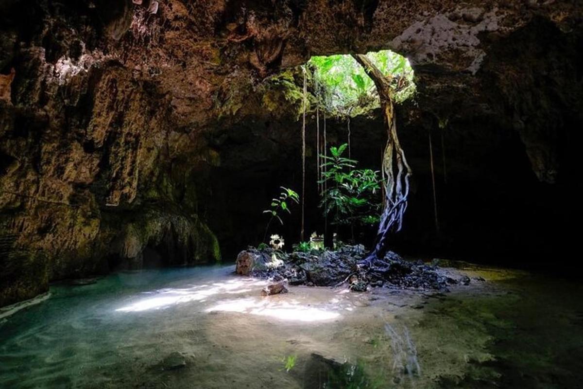 una grotta con una pozza d'acqua di fronte a una grotta