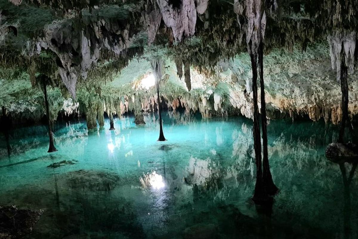 una grotta con acqua blu e alberi al suo interno