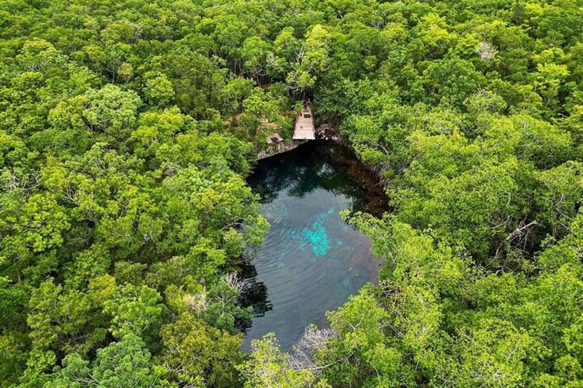 una vista aerea di un ponte sopra un fiume
