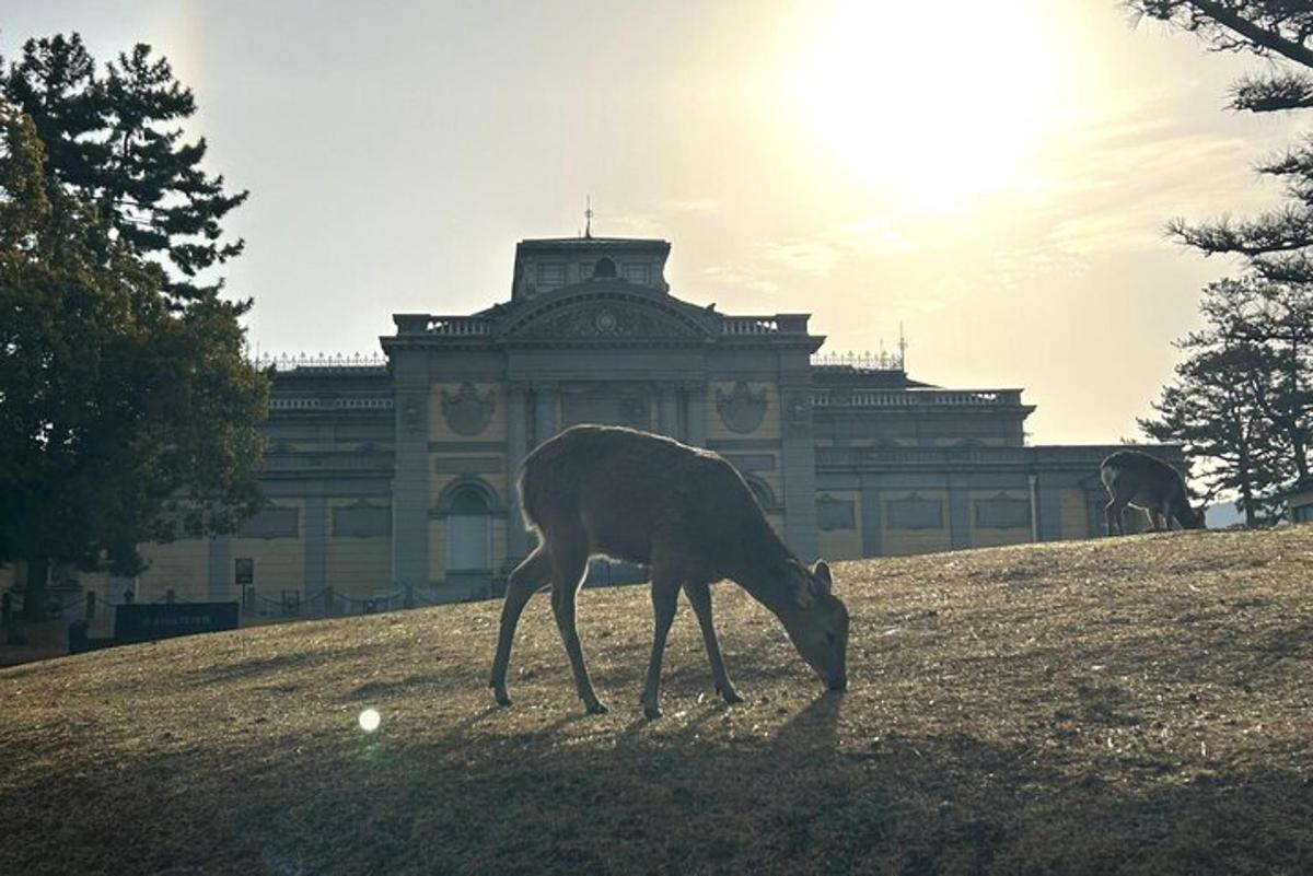 Foto 6 de l'atracció turística