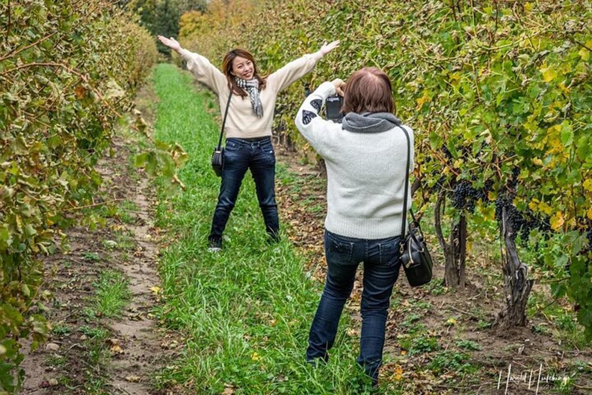 Turistik nokta fotoğrafı 2