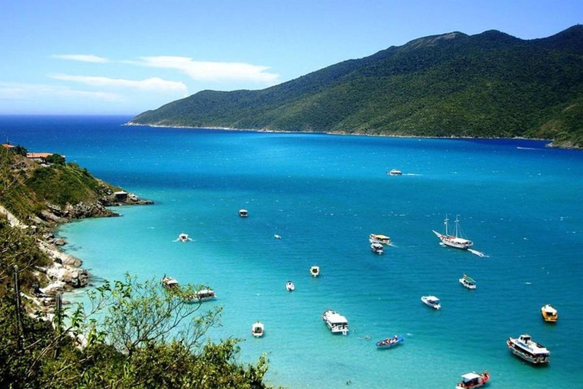 un grupo de barcos en una gran masa de agua