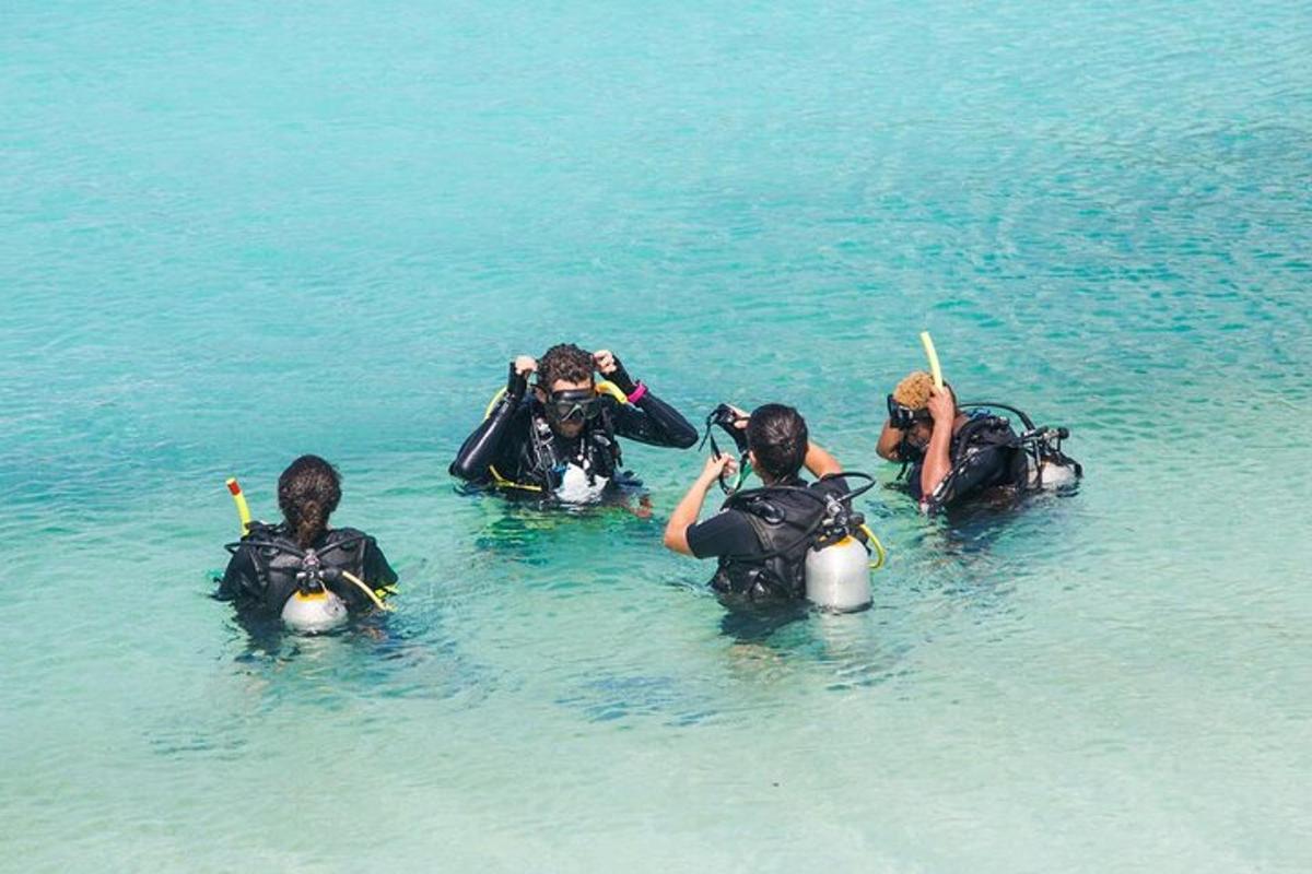 sekumpulan manusia di dalam air di lautan