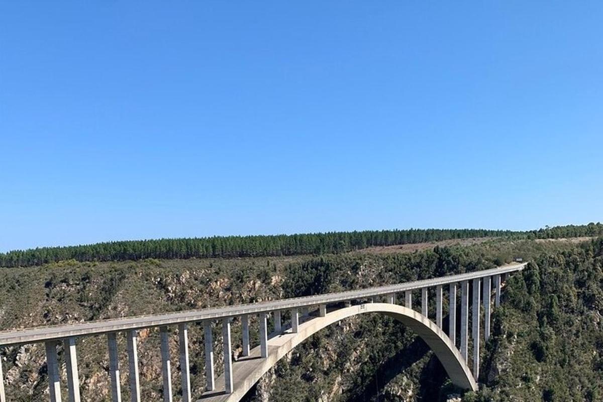 most na vrcholu kopce se stromy