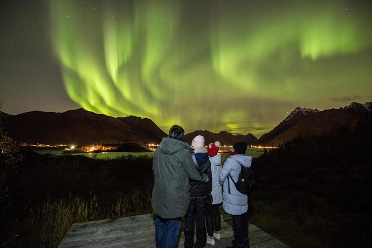 Ljósmynd af afþreyingu 4