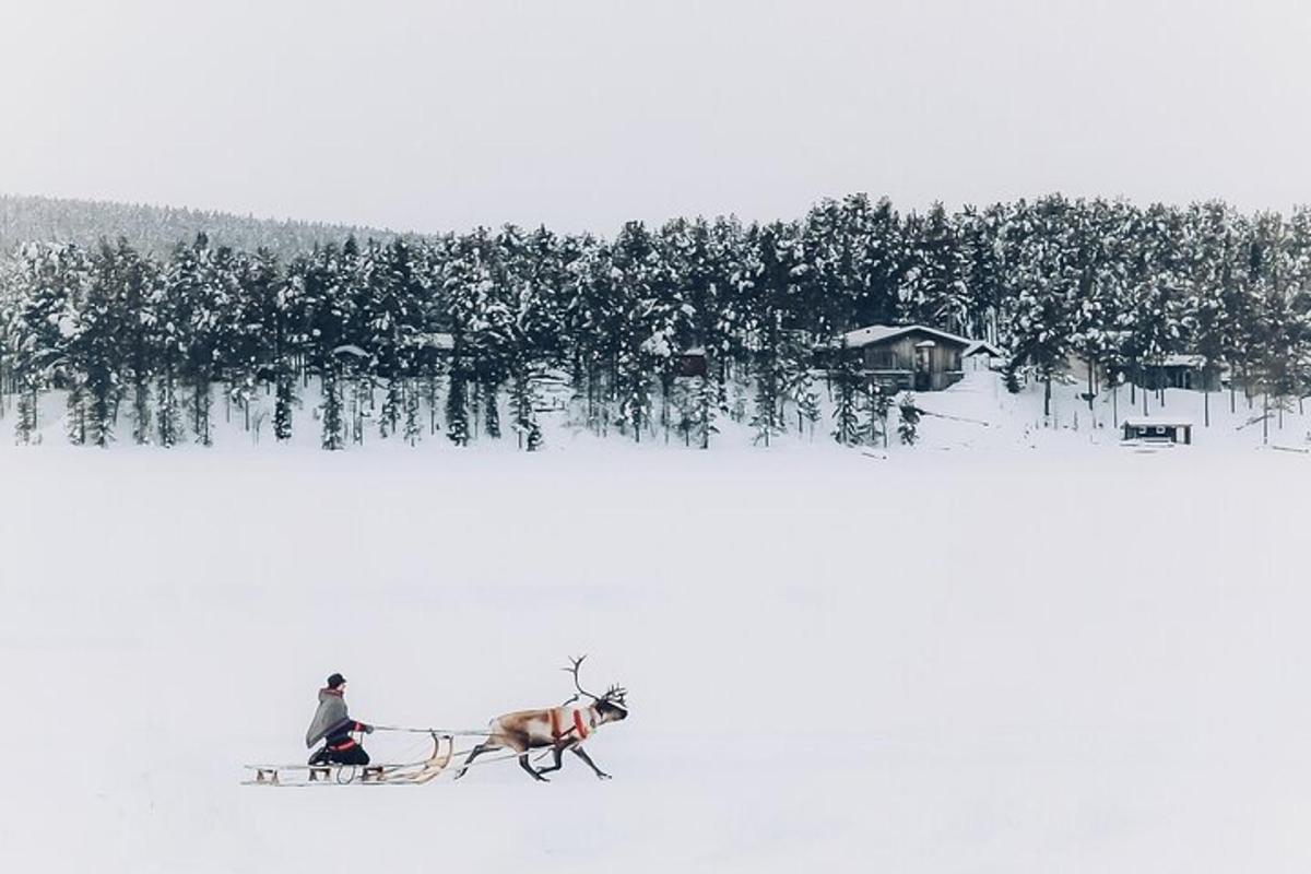 1. apskates objekta attēls