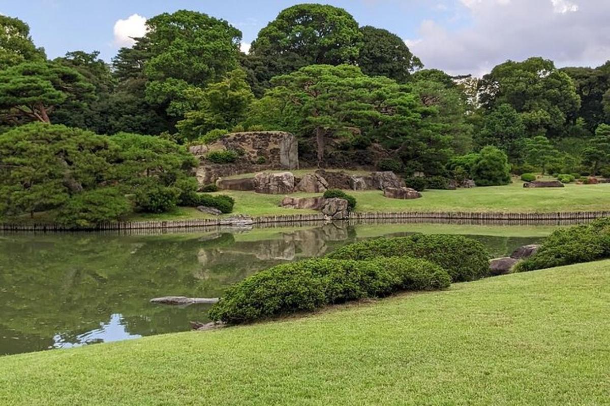 kolam di taman dengan pepohonan dan rumput