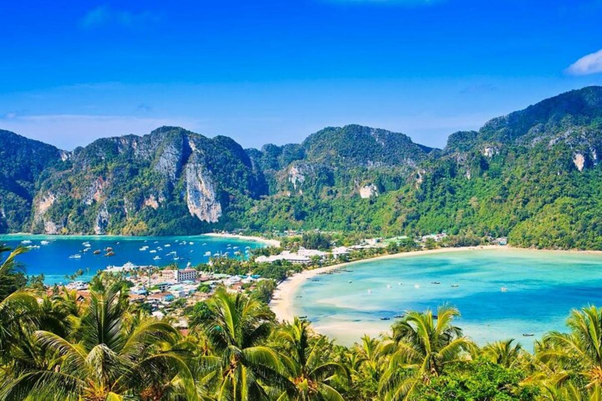 una vista di una spiaggia con palme e montagne