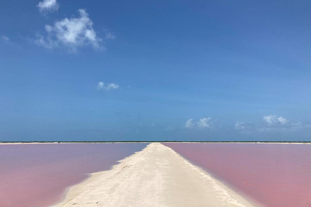 Una vista de un lago salado rosado con un cielo azul.